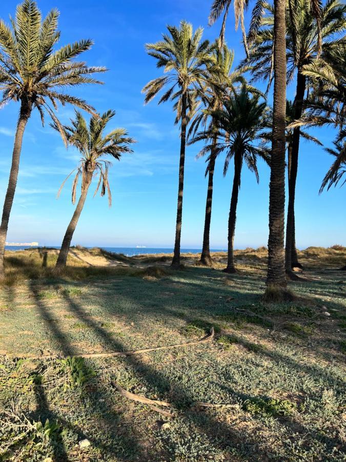 Gound Floor Bungalow Jumilla III Playa Flamenca Dehesa de Campoamor  Exterior foto